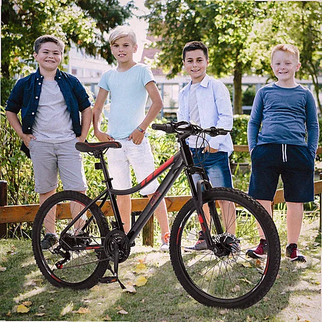 24 inch Tire Mountain Bike 21 Speed Bicycle High-Tensile Frame MTB Bikes