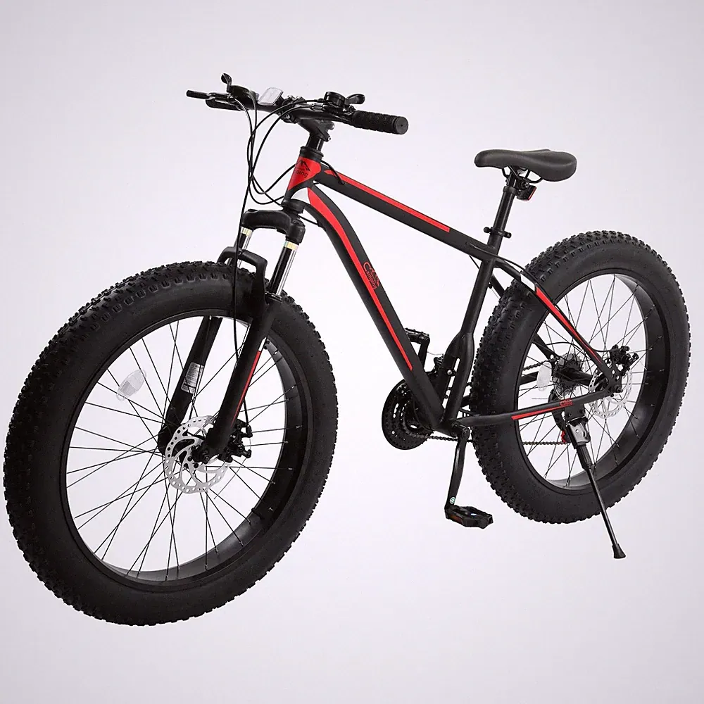 High Tensile Steel Fat Tire Bike