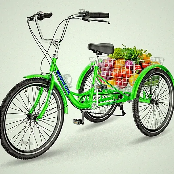 High Tensile Steel Tricycle