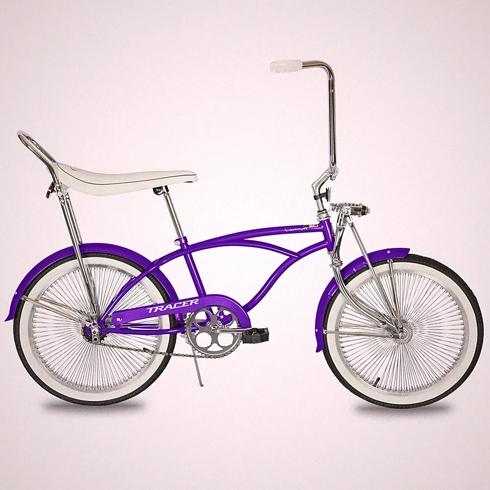 Tracer Tamron 20'' Lowrider Beach Cruiser Bike Coaster Brake 1 Speed 7-14 Kid